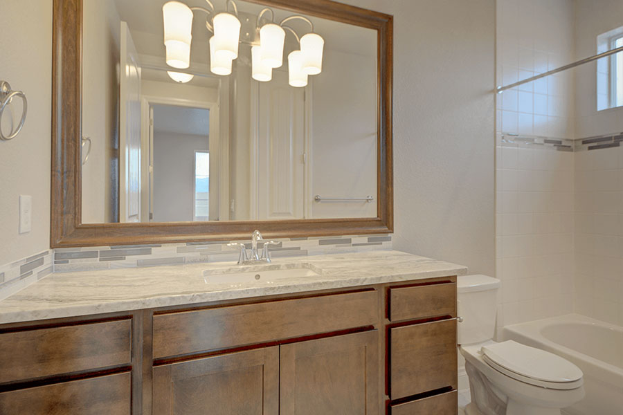 saddletree-custom-home-floorplan-cratfsman-design-guest-bath
